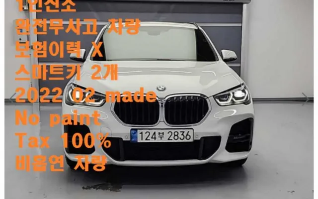 X1 (F48) xDrive 20i M 스포츠